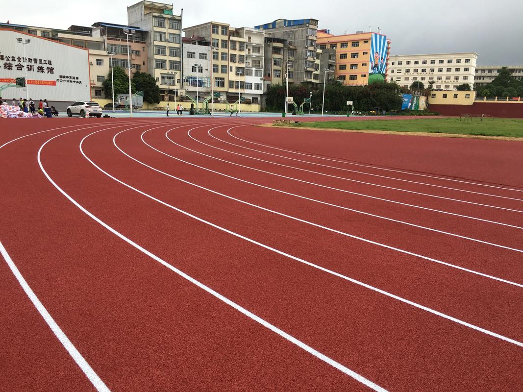 呼伦贝尔市学校塑胶跑道塑胶跑道材料 - 哪里好